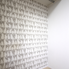 猫・クローゼット・コバルトブルーの壁紙