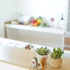 春の省エネ住宅フェア＆節約上手な家づくりお気軽相談会！