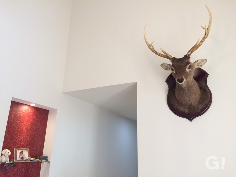 『遊び心ある鹿のオブジェがシンボル！シンプルなホールがあるローコスト住宅』の写真