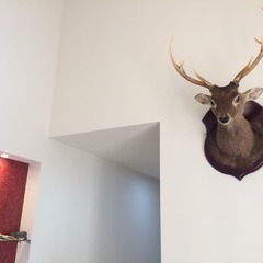 個性的な鹿のオブジェがお出迎えしてくれるシンプルモダンな玄関ホール