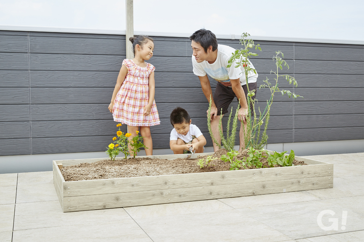 『親子でガーデニング＆家庭菜園を楽しむ屋上庭園』の写真
