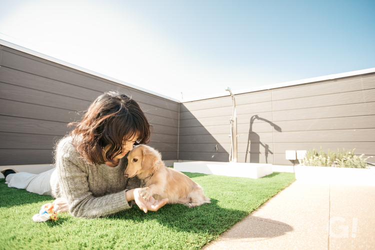 愛犬と思いっきりのびのび遊べる屋上庭園