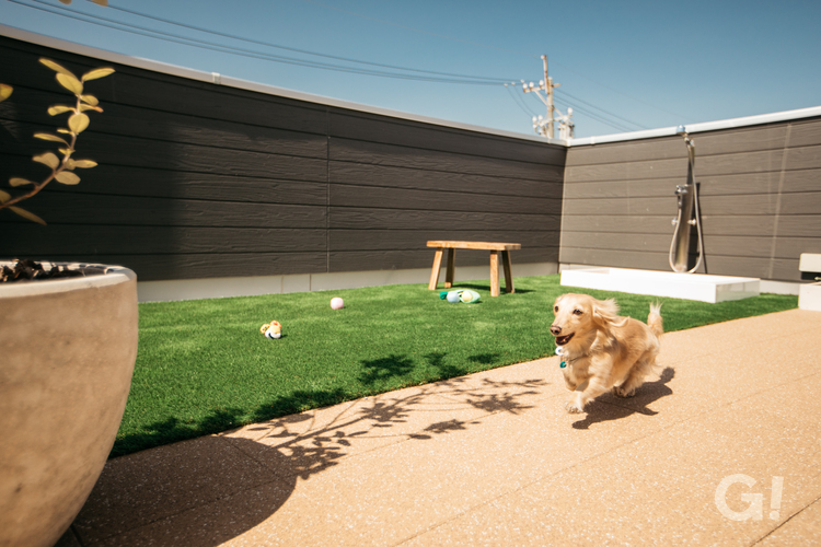 愛犬との暮らしが叶う屋上庭園の写真