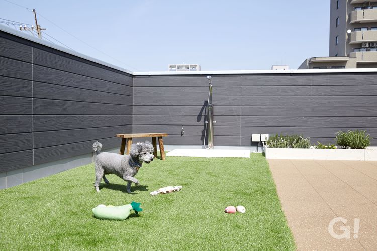 ペットと暮らす屋上庭園のあるデザイン住宅