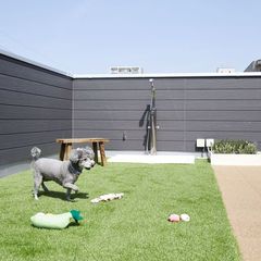 ペットと暮らす屋上庭園のあるデザイン住宅