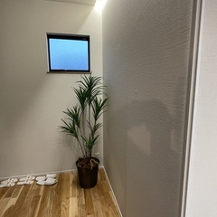 自然に包み込まれたような空気感で優しくお出迎え◎シンプルモダンな玄関ホール