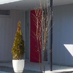 真紅のオーダードアで玄関にアクセントを。足利市・福富住宅の注文住宅「フラットルーフハウス」