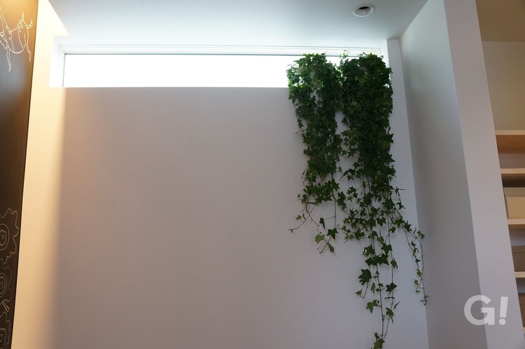 繊細で上品な空間で光とグリーンを感じて癒されるシンプルモダンな玄関