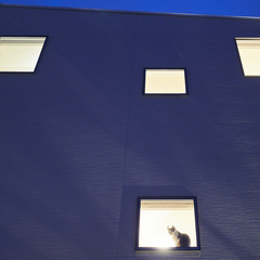 かわいい愛猫が出迎えるデザイナーズ住宅のシンプルモダンな外観のお家