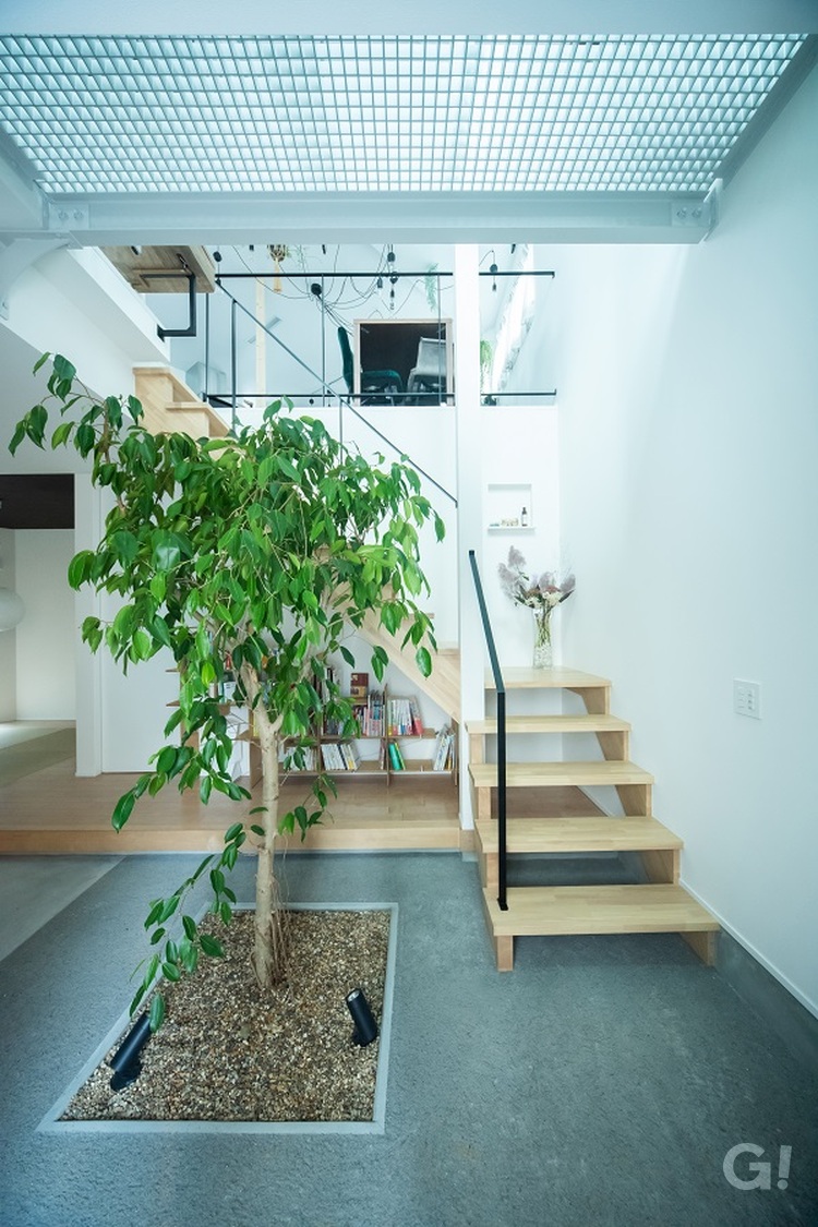 木と共生する家／豊中市　ホール