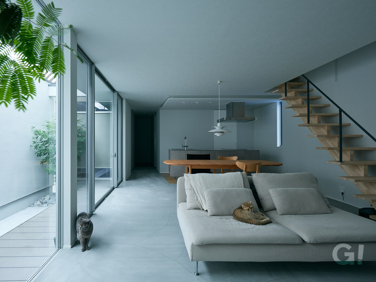 猫と暮らす家　自然光　リビング