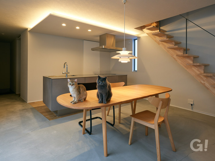 猫と暮らす家　ライトアップ　リビング