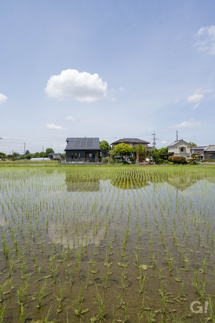 外観大屋根
