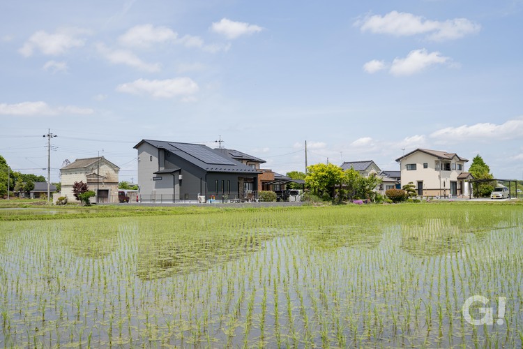 外観大屋根