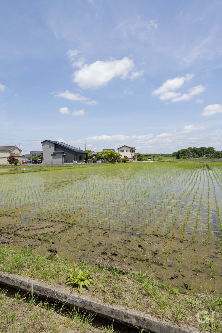 外観大屋根