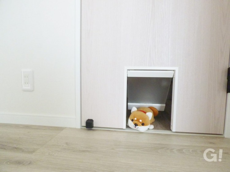 【ペットドアと収納】 ペットと一緒に快適に暮らすため、回遊してほしいドアにはペットドアをつけています。２階のホールには、あえて扉を開けない箇所を設け猫砂を置き上の収納にはストックを入れるなど工夫して収納することができています。
