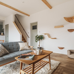 【規格住宅】自由気ままな猫ちゃん と暮らす家【LDK】