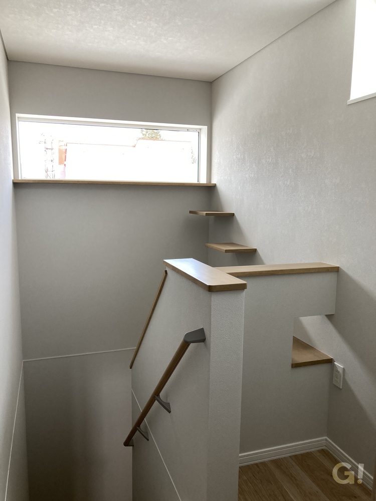 ペットと暮らす温かみある住まい写真