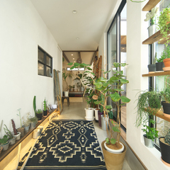 堺市で観葉植物を用いた自然あふれる注文住宅